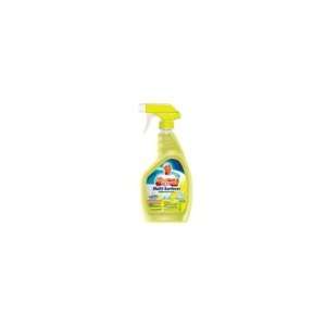 Procter & Gamble Professional Mr. Clean Multi Surface Cleaner  