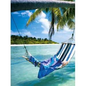   Color Collection Murals Beach Hammock BC1586123