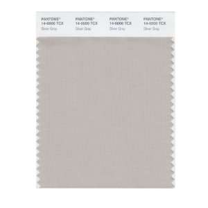  PANTONE SMART 14 0000X Color Swatch Card, Silver Gray 
