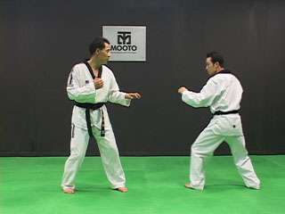 Taekwondo Knowhow of Actual Sparring DVD 4 disks  