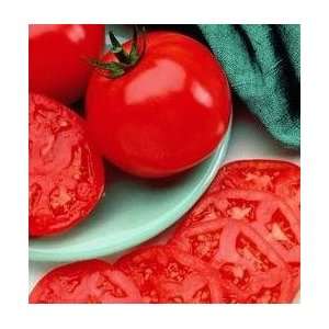  Manalucie Tomato   20 Seeds   Disease Resistant Patio 