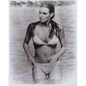 Raquel Welch, Bathing Suit