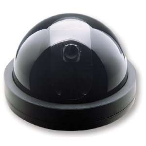    Economic Dome Camera with Sharp CCD (VCD 272) 