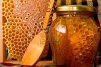 30 Bee Keeping Books CD Raw Honey Beekeeper Apiculture Homesteading 