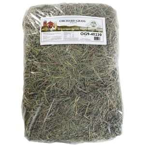  Oxbow Orchard Grass   9 lbs (Quantity of 1) Health 
