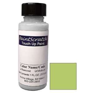   Touch Up Paint for 2004 Chevrolet Aveo (color code 49U) and Clearcoat