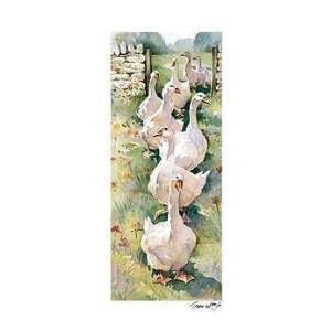  Gaggle Of Geese Poster Print