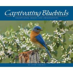  Captivating Bluebirds (Books) (Bluebirds) 