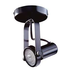 Kendal Lighting MP1603 BLK Gimball Ring Monopoint Directional