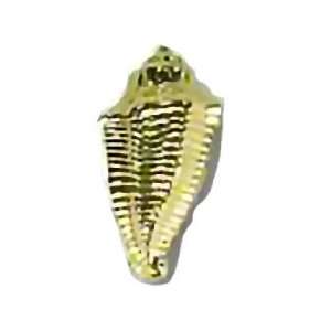  Conch Shell Knob   Brass Plated 1 1/2 L PN0420 PB C