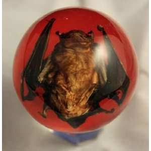  Real Bat Embedded in Medium Acrylic Sphere 2 Inches Red 