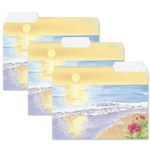   Designed File Folders Floral Sunset  Sale