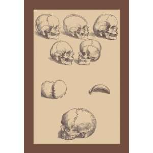  Exclusive By Buyenlarge Skulls 20x30 poster