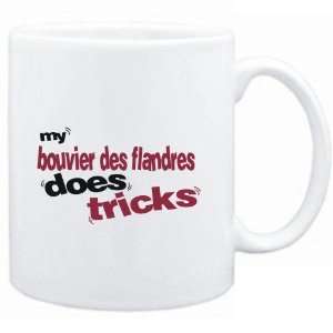   White  MY Bouvier Des Flandres DOES TRICKS  Dogs