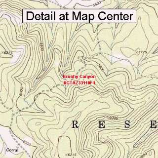  USGS Topographic Quadrangle Map   Brushy Canyon, Arizona 