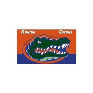    Florida Gators NCAA Car Flag by BSI Products