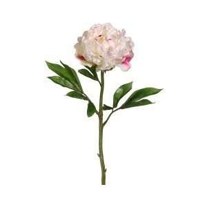  Club Pack of 12 Artificial Pinkish White Peony Floral 