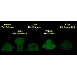   Glow In The Dark SEA MANIA 1 Set of 5 Rare Mystery Squishies Toys