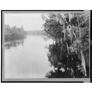   April 1930,Scene on the Suwanee River,George Ackerman