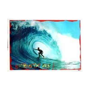 Sport Posters Surfing   Longboards Rule   63x92cm