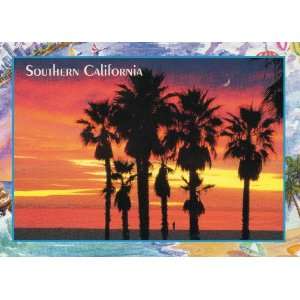  C28 SOUTHERN CALIFORNIA POSTCARD   From Hibiscus Express 