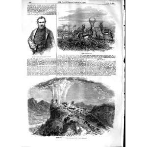  1853 War Kaffirs Mundell Waterloof Lakeman Spring Boks 