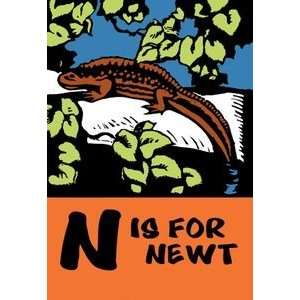  N is for Newt   Paper Poster (18.75 x 28.5) Sports 