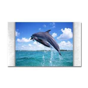  Car Magnet 20 x 12 Dolphins Singing 