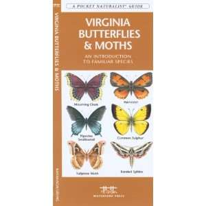    Waterford Virginia Butterflies & Moths Patio, Lawn & Garden