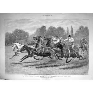  1896 Polo Pony Tandem Race Ranelagh Club Horses Sport