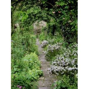  View Down Stone Path Beneath Rosa (Rose) Arch to Sundial 