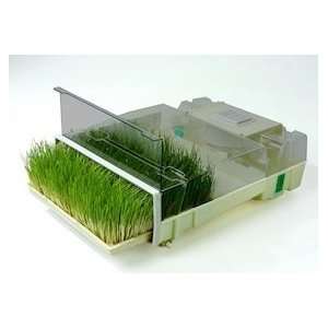   Easy Green Automatic Wheat Grass Sprouter Patio, Lawn & Garden