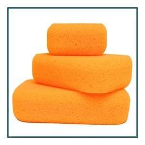  Barwalt Hydrophilic Tile Sponge   Medium