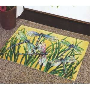   Floor Mat for Indoor  and Outdoor Use (Kitchen, Entrance, etc) Home