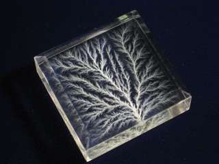 Captured Lightning Lichtenberg Figure Beam Tree sculpture   Tesla 