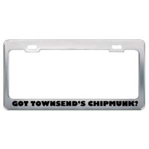 Got TownsendS Chipmunk? Animals Pets Metal License Plate Frame Holder 