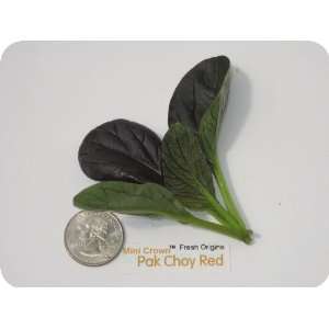 Minicrown Pak Choy Red   1   3oz Container (Average 50 Pieces Per 
