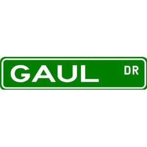 GAUL Street Sign ~ Family Lastname Sign ~ Gameroom, Basement, Garage 