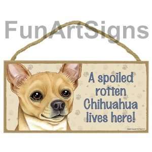  Chihuahua (Brown)   A Spoiled Rotten Chihuahua Lives Here 
