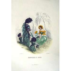   1981 Flowers Scabiosa Marigold Souci Plant Grandville