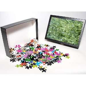   Jigsaw Puzzle of Corn Cleavers from Ardea Wildlife Pets Toys & Games