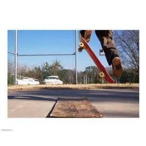  High Ollie 10.00 x 8.00 Poster Print