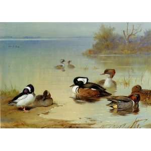  Hand Made Oil Reproduction   Archibald Thorburn   24 x 16 
