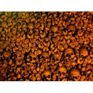  Human Skulls and Bones Collected by Franciscan Monks 