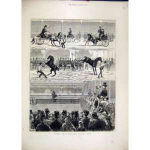  Parisian Horse Show 1872 Trotters Tricks Jumping Print 