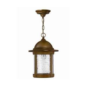   Edison Aged Brass Outdoor Hanging Light PLUS eligible for Free Shippi