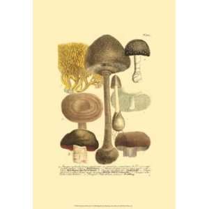  Weinmann Mushrooms II   Poster by Johann Wilhelm Weinmann 