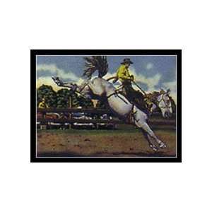 Rodeo I Animals Pre Matted Poster Print, 10x8 