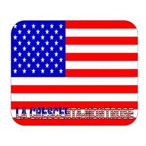  US Flag   La Crescenta Montrose, California (CA) Mouse 