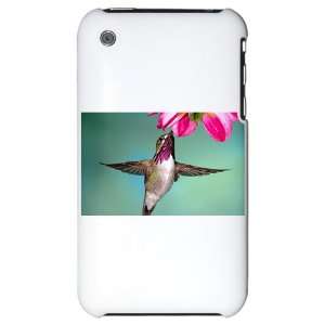  iPhone 3G Hard Case Male Calliope Hummingbird Everything 